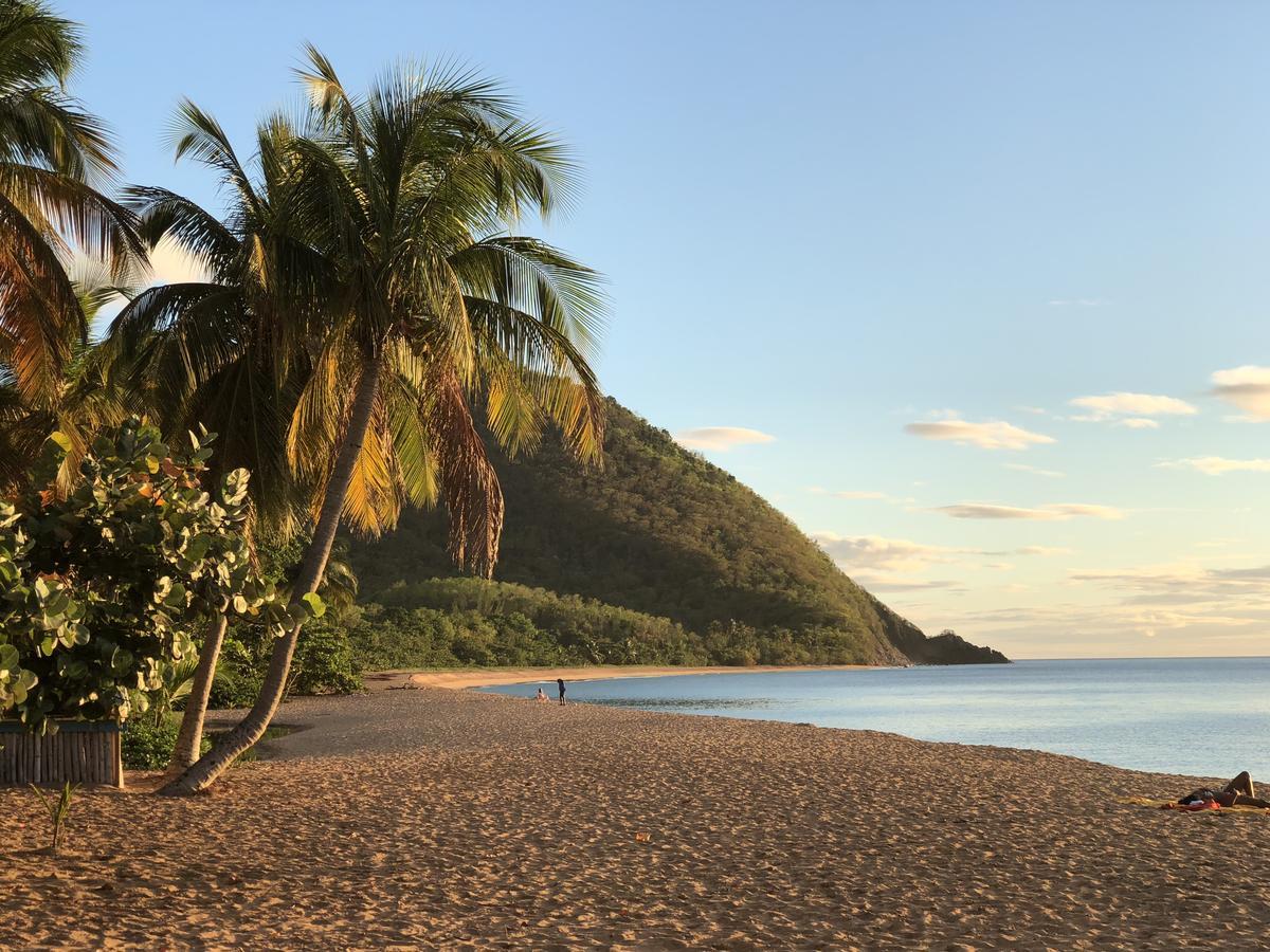 Hotel - Residence Habitation Grande Anse Deshaies Luaran gambar